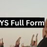 DNYS Full Form